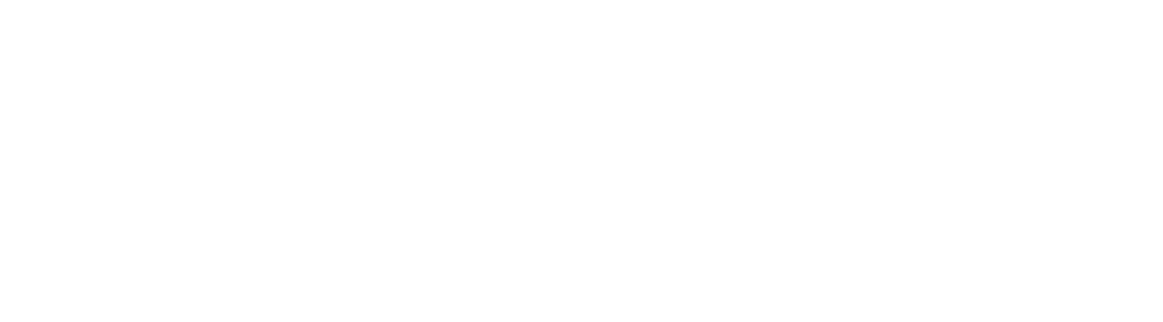 Logo Full White